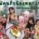 คาเฟ่คนรักน้องหมา เขาใหญ่