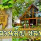 คาเฟ่ลับกลางธรรมชาติที่ชลบุรี (The Hidden Falls ในสวนลับ)